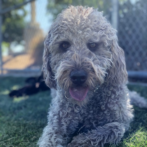 Meet your Posher, Lori - Picture 7 of 8